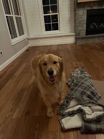 Monterey Ranchero Hickory centuray carpet