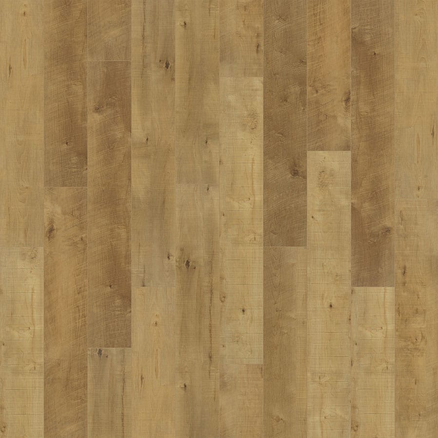 Courtier Clyde Maple