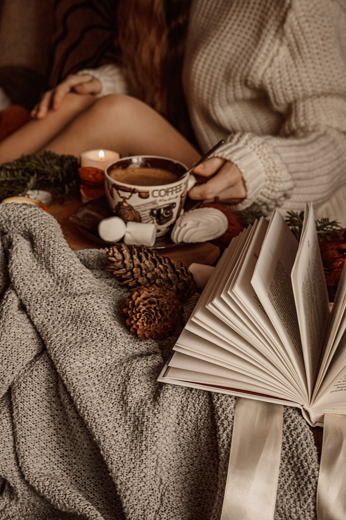 reading in a cozy setting reading in a cozy setting