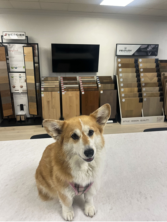 Design Distribution manager