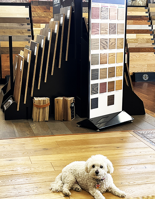 Wichita Wood Floor Specialists showroom
